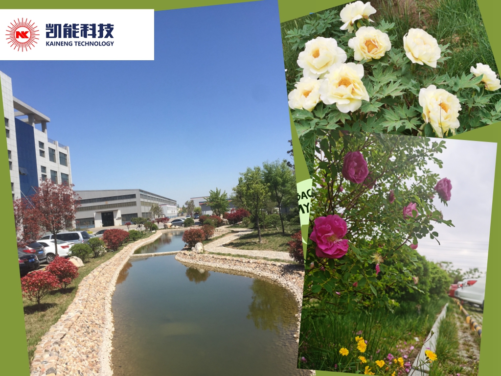 又是一年鳥(niǎo)語(yǔ)花香時(shí)，節(jié)能環(huán)保不松懈