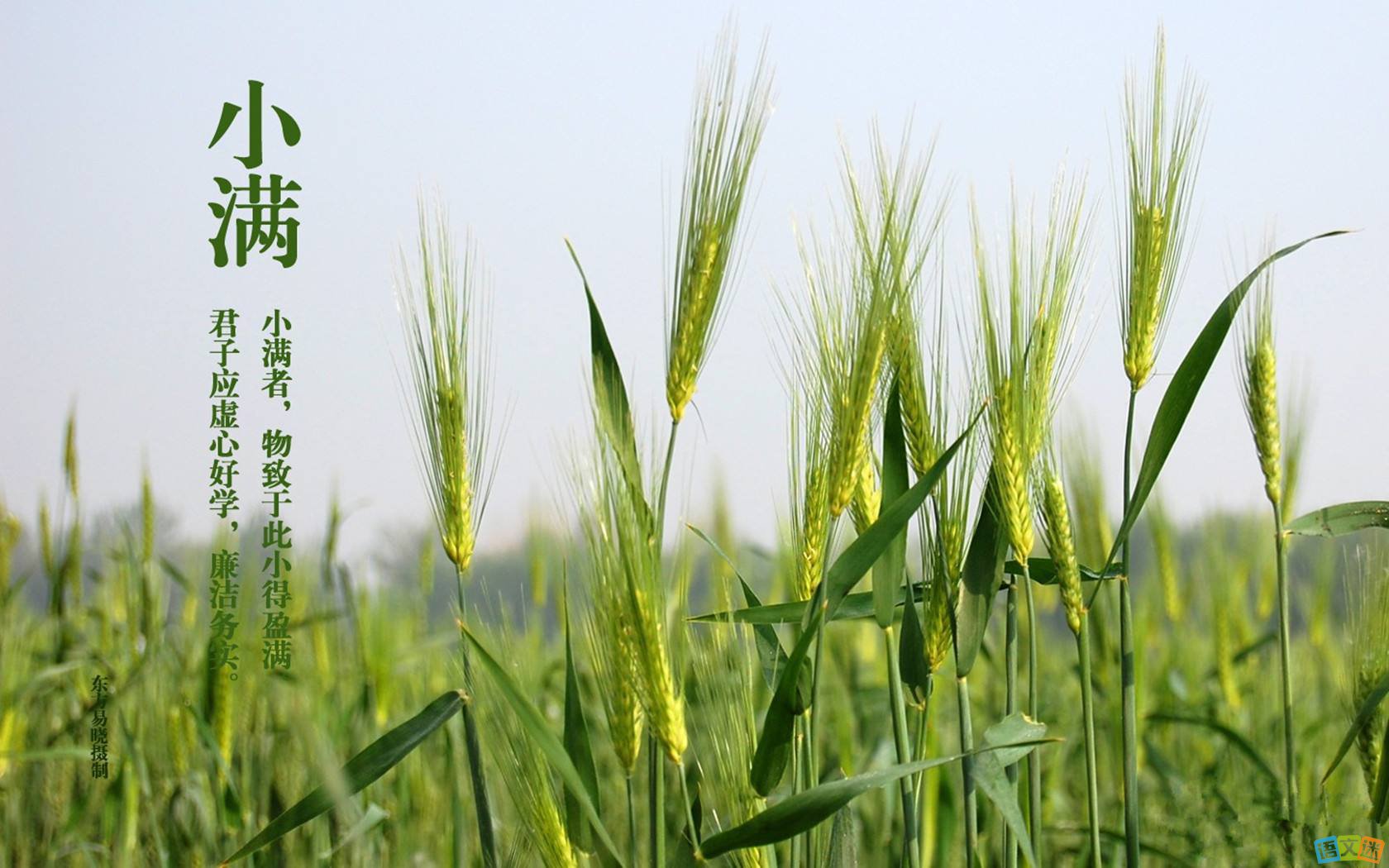 小滿剛過，凱能科技溫馨提醒：夏天來咯