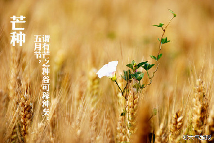 芒種打雷年成好，節(jié)能環(huán)保凱能強(qiáng)