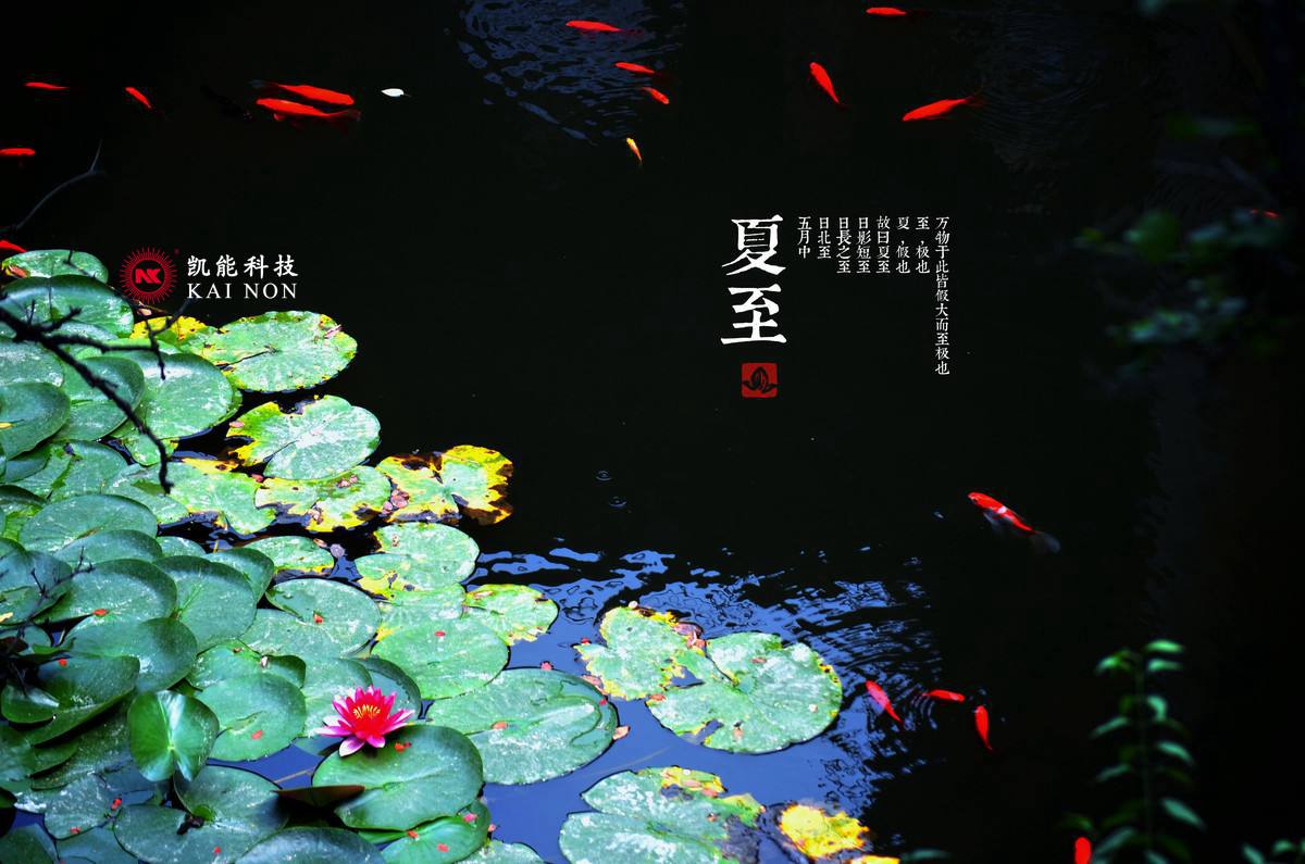 凱能科技溫馨提示：夏至已至，養(yǎng)生吃苦