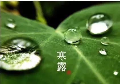 裊裊涼風(fēng)動，凄凄寒露零丨凱能科技提醒：今日寒露